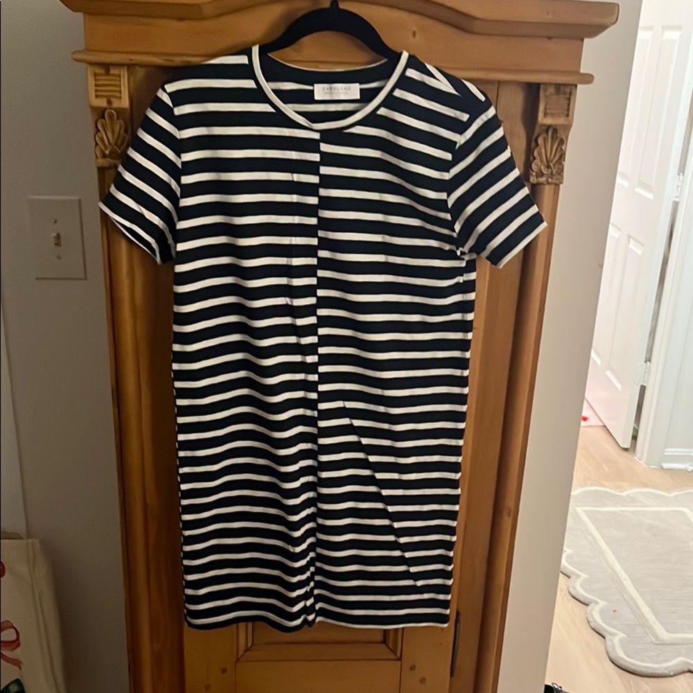 Everlane Navy and White Striped Dress